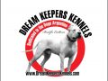 Dream Keepers Kennels