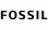 Fossil Fossil