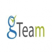 Gteam Fz Llc