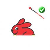 Red Rabbit