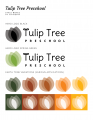 Tulip Tree Preschool