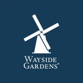 Wayside Gardens