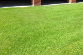Grass4Sale