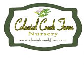 Colonial Creek Farm