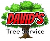 Davids Tree Service