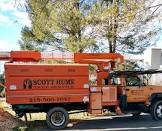 Scott hume TREE SERVICE