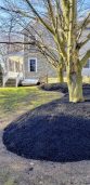 Maple Shade Landscaping