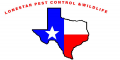 Lone Star Wildlife Control