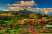 Farm And Garden Of Hawaii