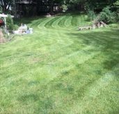 Double A Lawns of Council Bluffs