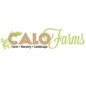 Calo Nursery and Landscape