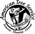 American Tree Surgeons