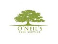 4 Trees Landscaping And Tree Services