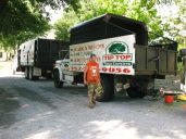 Tip Top Tree And Landscaping