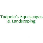Tadpoles Aquascapes And Landscaping