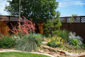 South Texas Landscape By Design