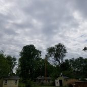 Glorioso Tree Service