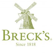 Brecks