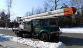 Beckers Tree Service