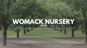 Womack Nursery