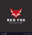 The Red Fox