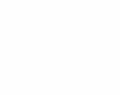 Snowgoose