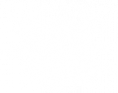 Snowgoose