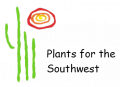 Plants Of The Southwest