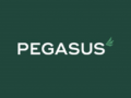 Pegasus Finance