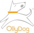 OllyDog