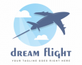 Dream Flight