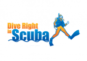 Dive Right In Scuba