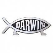 Darwin Fish