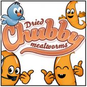 Chubby Mealworms