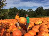 Burts Pumpkin Farm