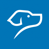 BLUEDOG