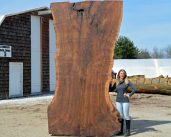 Big Wood Slabs