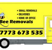 Mr Bee Removals