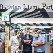 Bolivian Llama Party