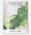 Taproot Magazine