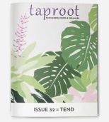 Taproot Magazine