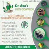 Rex Environment Pest Control