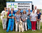 Middleton Veterinary Hospital