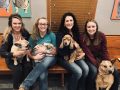 Hays Veterinary Hospital