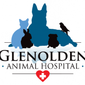 Glenolden Animal Hospital