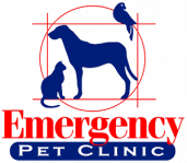 Emergency Pet Clinic San Antonio