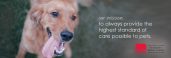 College Park Animal Hospital