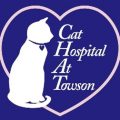 Cat Hospital At Towson