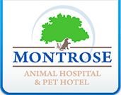 Montrose Animal Hospital