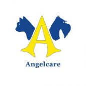 Angelcare Animal Hospital
